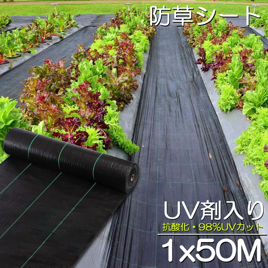 防草シート 1m×10m 園芸用 高透水性 雑草 透水性 砂利