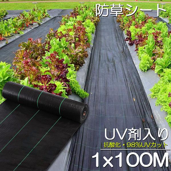 防草シート 100m X 1m 除草シート 園芸用シート 雑草シート UV剤入り 