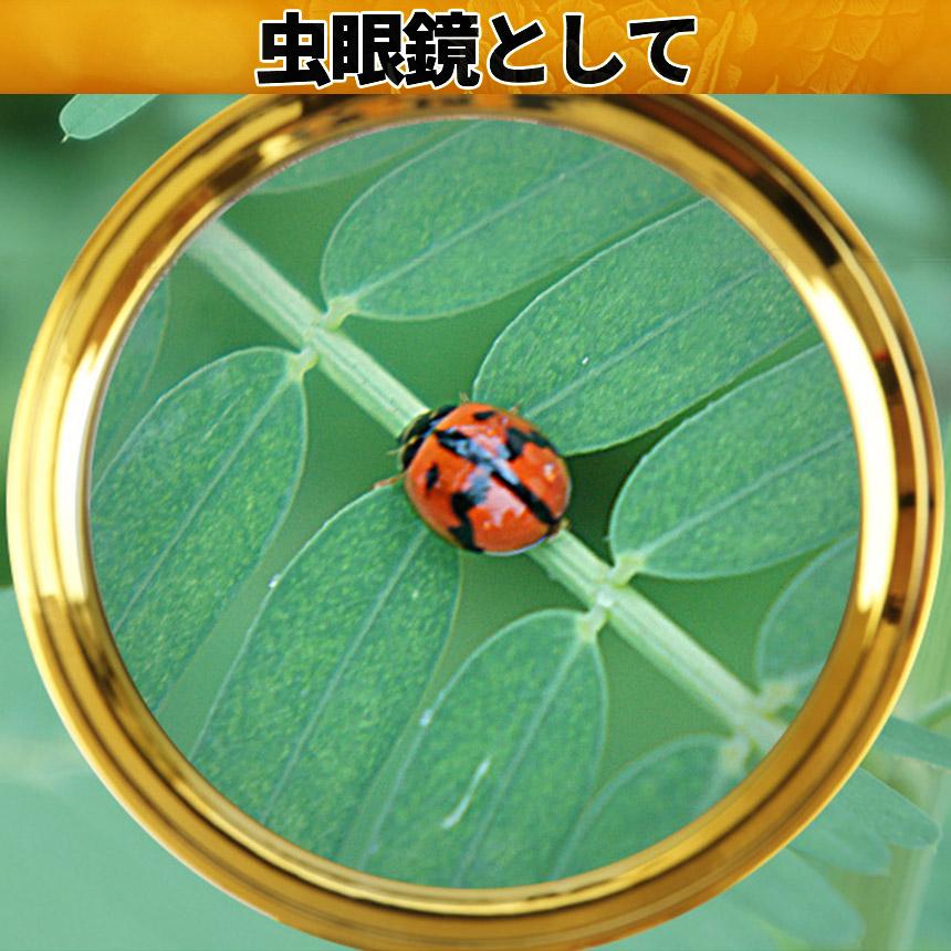 平凡社 大辞典 二冊セット 虫眼鏡付き 新品 平凡社 大辞典 二冊セット