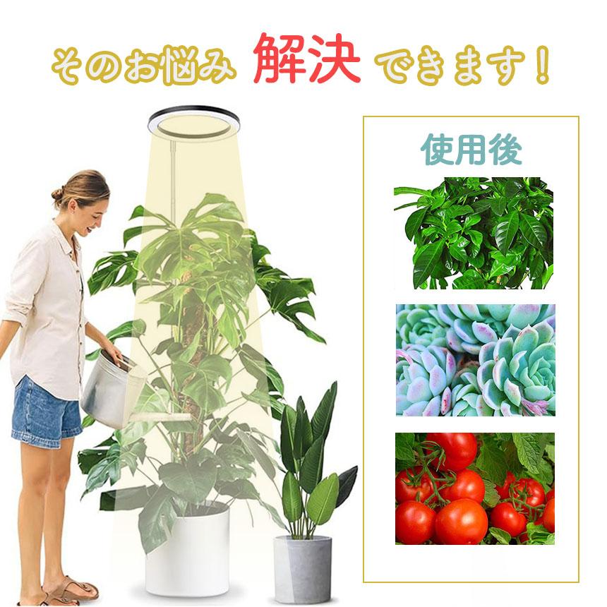 爆買 植物育成ライト LED タイマー 植物育成LED 観葉植物育成ライト 10