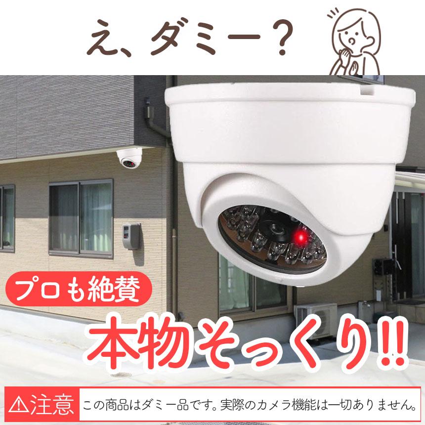 ダミーカメラ ドーム型 2個セット 防犯 防犯グッズ 屋内 屋外 監視