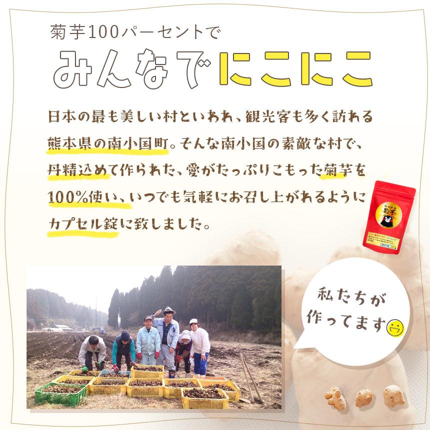 菊芋粉 スーパー菊芋カプセル 菊芋パウダー 1袋90錠入り 2袋セット 1錠