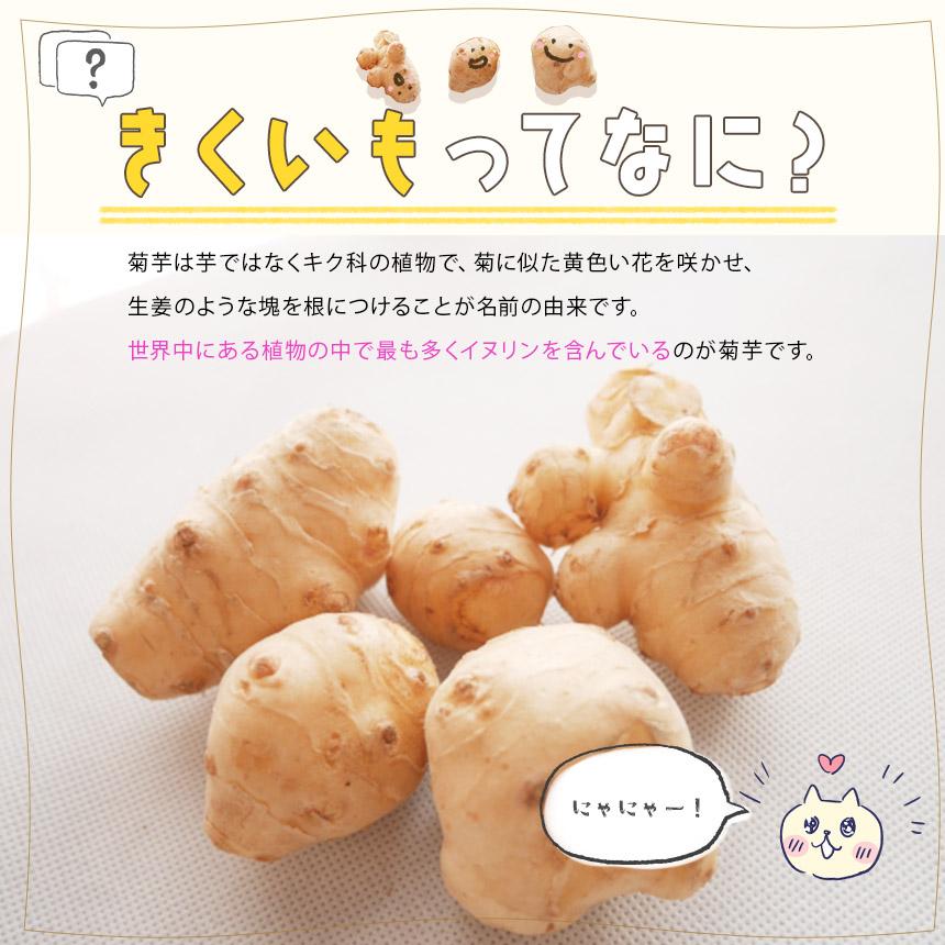菊芋粉 スーパー菊芋カプセル 菊芋パウダー 1袋90錠入り 2袋セット 1錠
