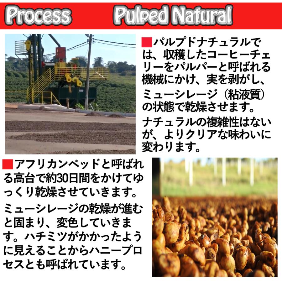 Aセット】1,000円ポッキリ 300gセット(100gX3種類) スペシャルティ
