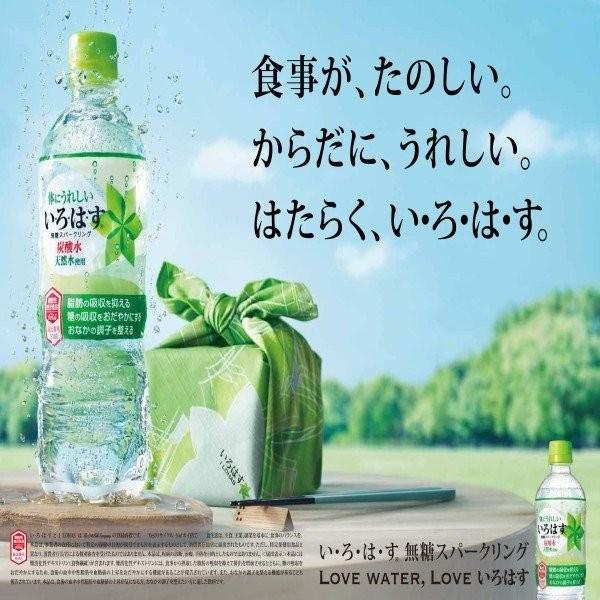 綾鷹 300ml お茶 ペットボトル 48本 24本入 2ケース 飲みきりサイズ