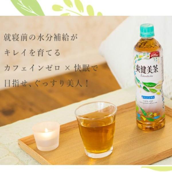 爽健美茶 2L ペットボトル 6本入 2ケース 12本 お茶 コカコーラ Coca Cola コカコーラ社直送 賞味期限最大｜miraishico｜12