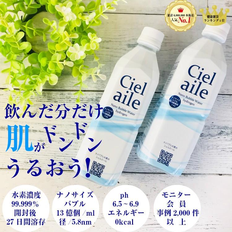 水 水素水 500ml 12本 6本入 2ケース ナノバブル 国内 ミネラル