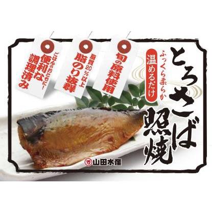 ふっくら柔らか　とろさば照焼90g（1枚）×10袋セット　　レンジで簡単！　脂乗り抜群！　ご飯のお供に！　お酒のお供に！　　【同梱不可】 | 