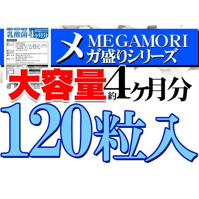 乳酸菌 サプリメント 錠 タブレット ビフィズス菌 食物繊維 オリゴ糖