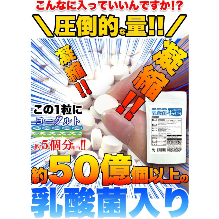 乳酸菌 サプリメント 錠 タブレット ビフィズス菌 食物繊維 オリゴ糖
