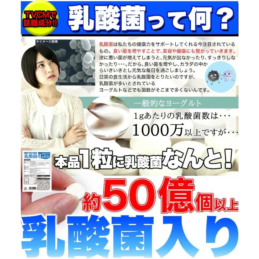 H.R.スルー 乳酸菌サプリメント【新品未開封／正規品／ダイエット