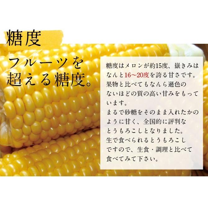 嶽きみ 青森県産とうもろこし 12本セット まるで果物のような甘 嶽きみ 青森県産とうもろこし 12本セット まるで果物のような甘