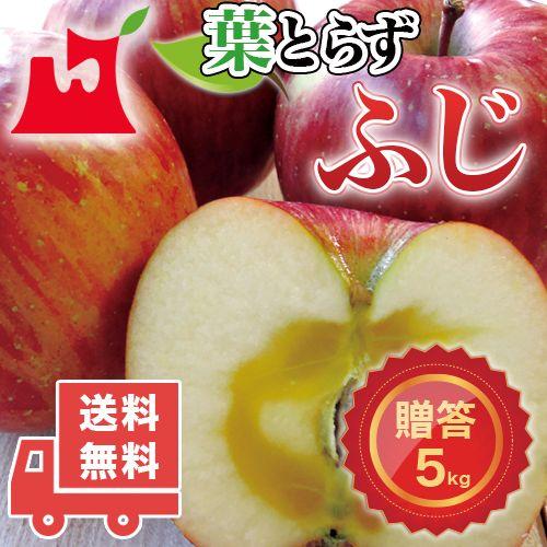 青森県産 葉とらず ふじ ご贈答用 約5kg (約14〜18個