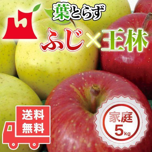 青森県産 葉とらず ふじ・王林セット ご家庭用 約5kg (約14〜18個