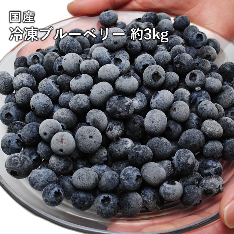 冷凍ブルーベリー 約1kg×3袋 国産 送料無料 合計 3kg