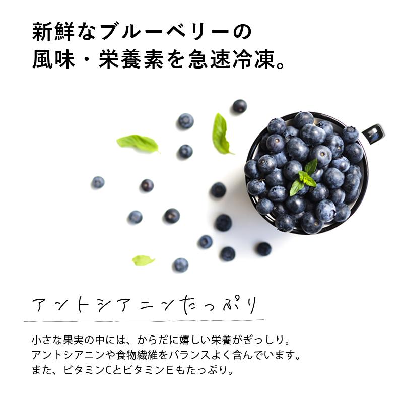 国産 冷凍ブルーベリー 約1kg × 3袋 合計 3kg ブルーベリー フルーツ