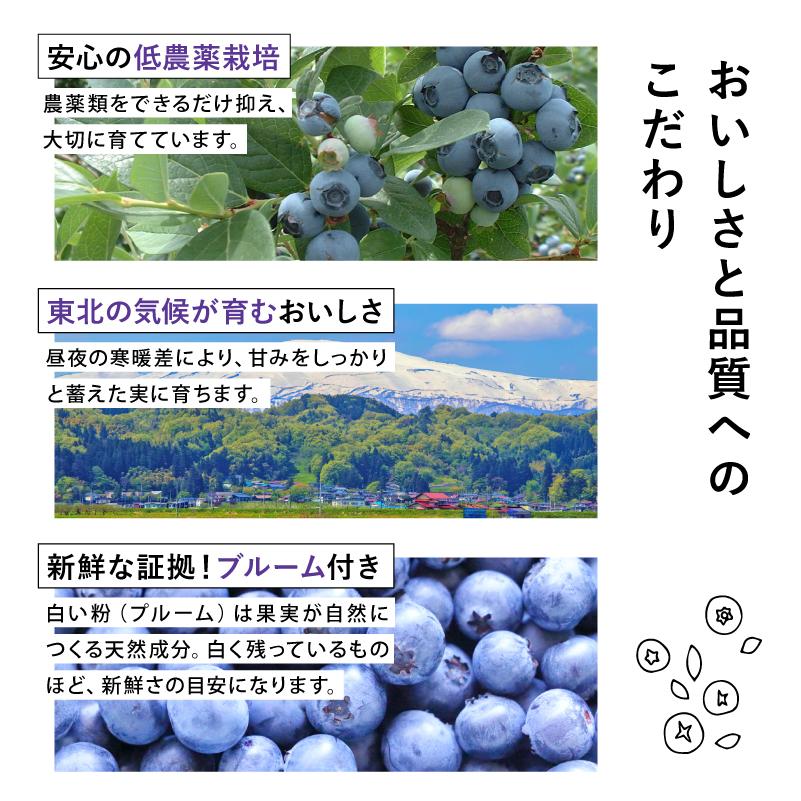 国産 冷凍ブルーベリー 約1kg × 3袋 合計 3kg ブルーベリー フルーツ