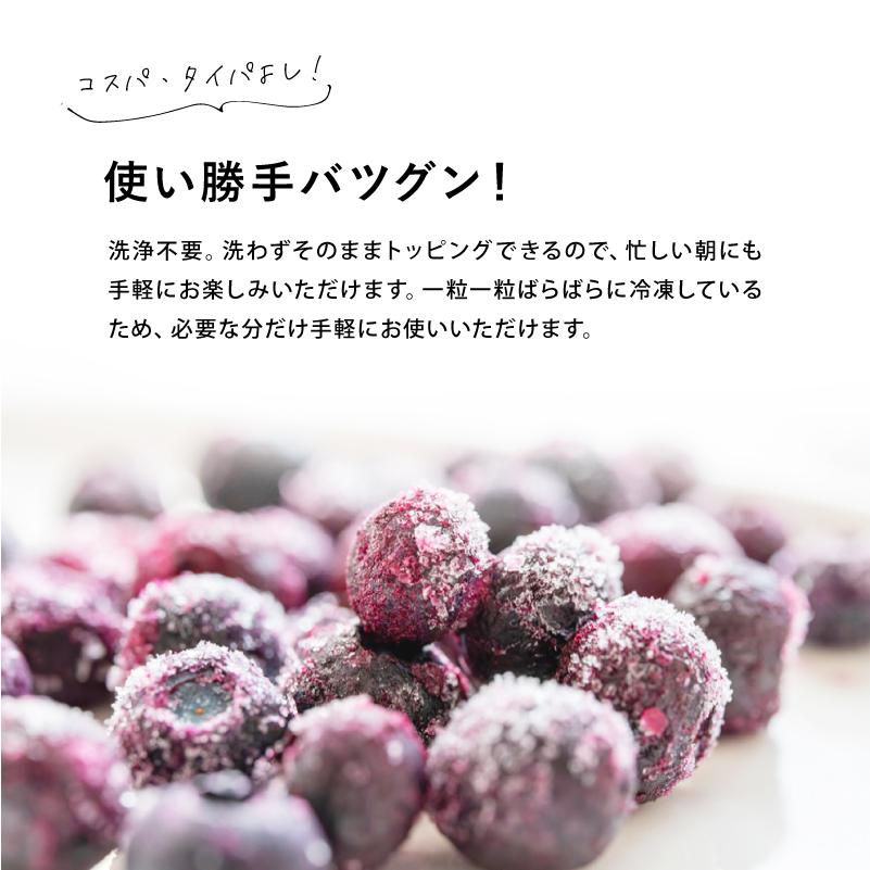 国産 冷凍ブルーベリー 約1kg × 3袋 合計 3kg ブルーベリー フルーツ