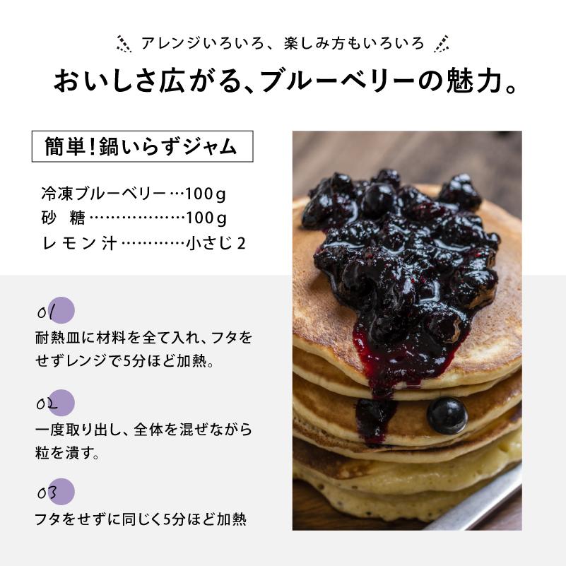 国産 冷凍ブルーベリー 約1kg × 3袋 合計 3kg ブルーベリー フルーツ