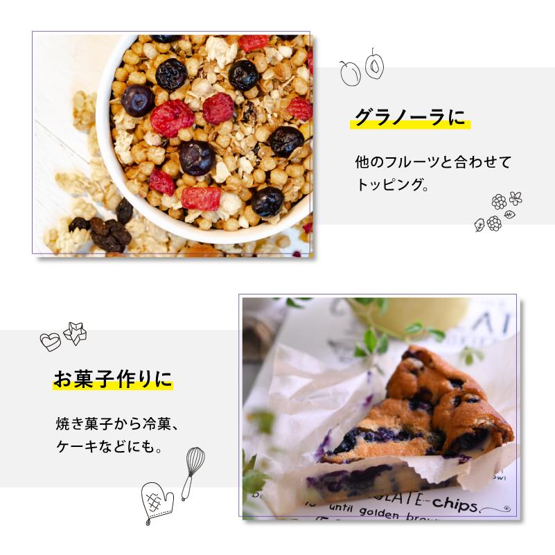 国産 冷凍ブルーベリー 約1kg × 3袋 合計 3kg ブルーベリー フルーツ