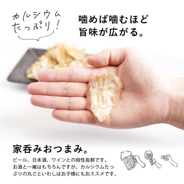 焼きいわしロール 100g  珍味 イワシ カルシウム 小魚  魚  酒 おやつ ギフト 送料無料 おつまみ いわし ロール |  | 02