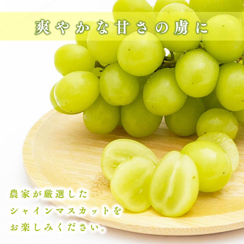 数量限定販売 】青森県産 家庭用 訳あり シャインマスカット 約600g