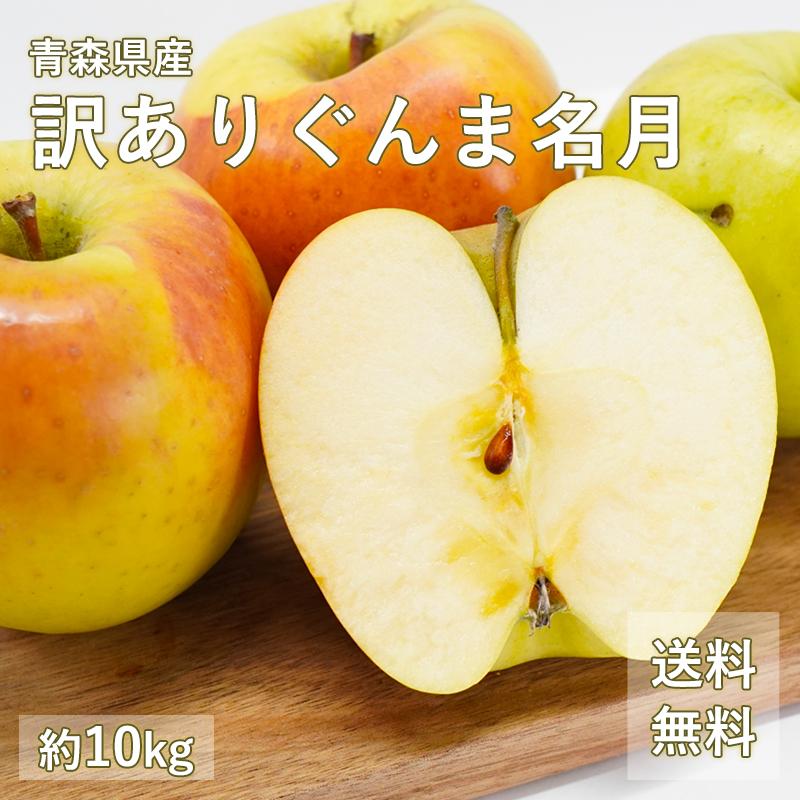 青森県産 訳あり ぐんま名月 ご家庭用約10kg 人気の訳ありリンゴ