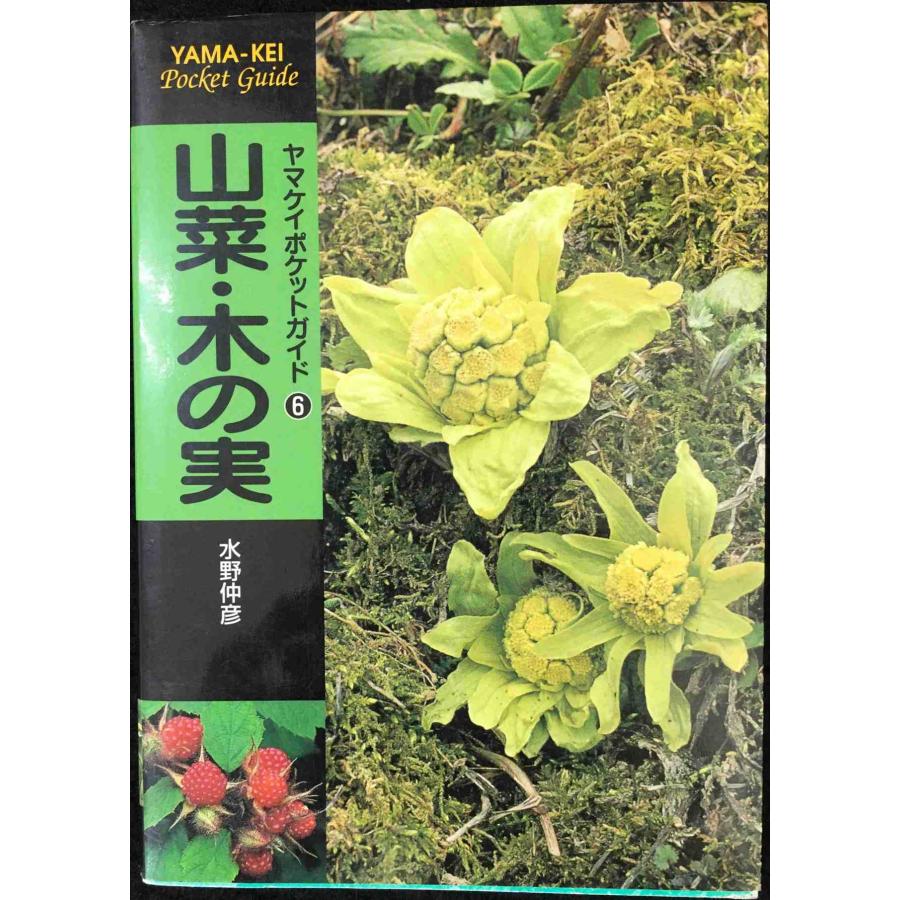 石川県版　山菜・木の実ガイドブック 山菜・木の実 (ヤマケイポケットガイド) (ヤマケイポケットガイド 6