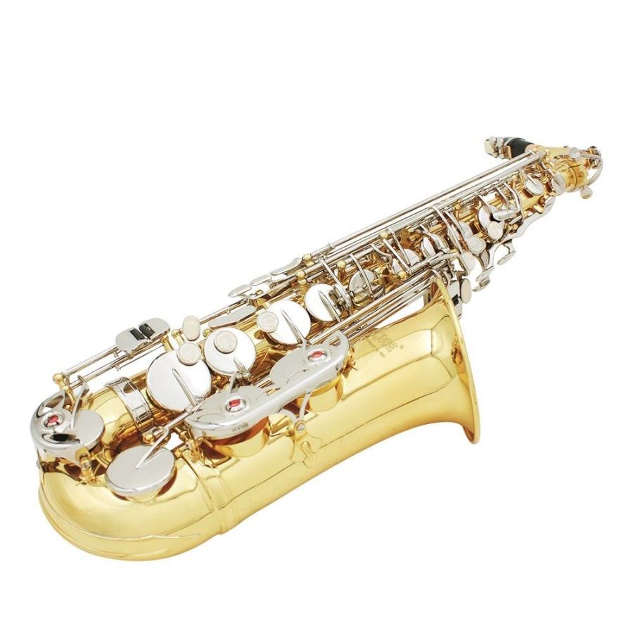 室内搬入設置無料 ☆アルトサックス 初心者セット 入門用 Saxophone 11