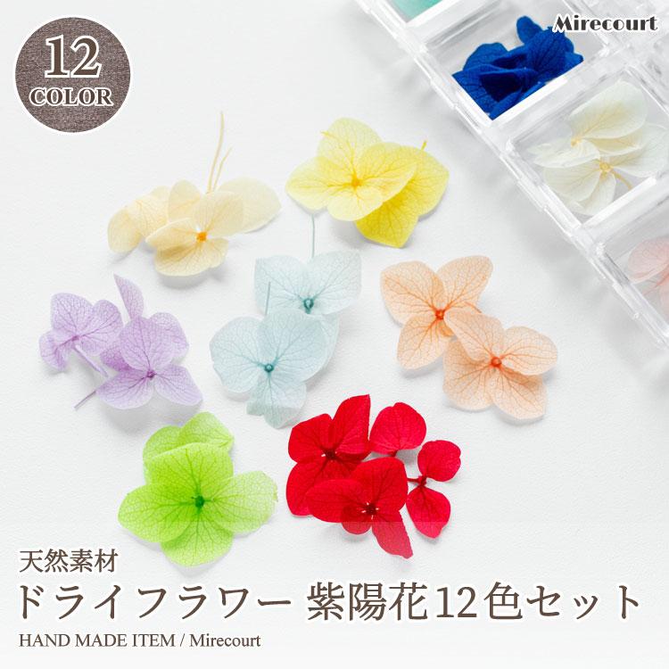 紫陽花ドライフラワー花材　　12 全12色】天然素材 ドライフラワー紫陽花 (12色セット)花 フラワー