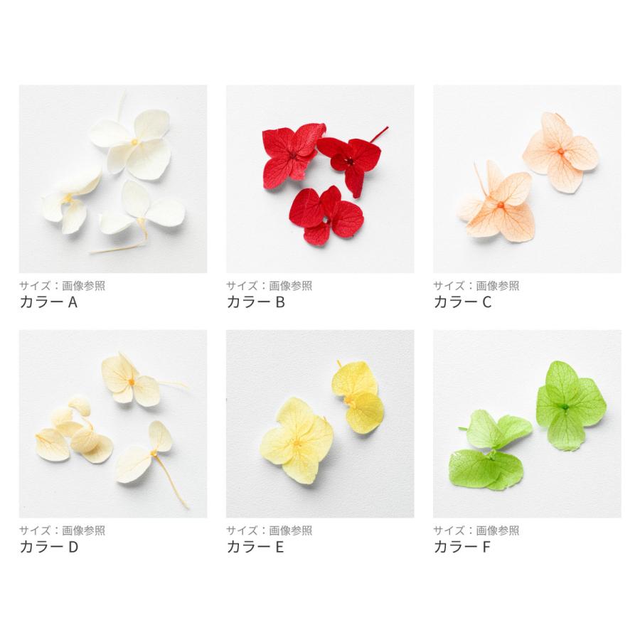 全12色】天然素材 ドライフラワー紫陽花 (12色セット)花 フラワー