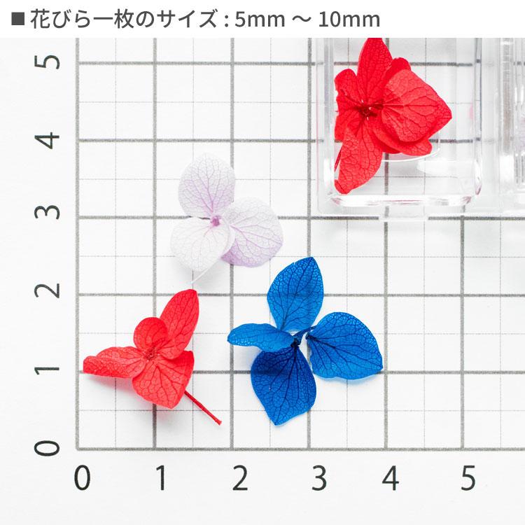 全12色】天然素材 ドライフラワー紫陽花 (12色セット)花 フラワー