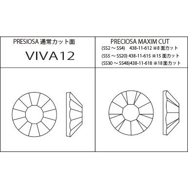 全8サイズ】プレシオサ MAXIMA フラットバッグ グリーン＋ブルー系