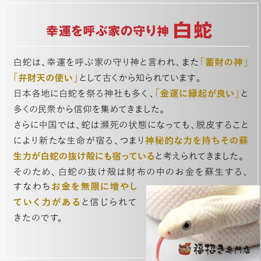 1億円 D ゴールド 白蛇 本物 抜け殻 脱殻 抜殻 開運 金運アップ グッズ 御守り 風水 お守り 財布 100万円札束 レプリカ お金 祈願｜mireigoudou｜05