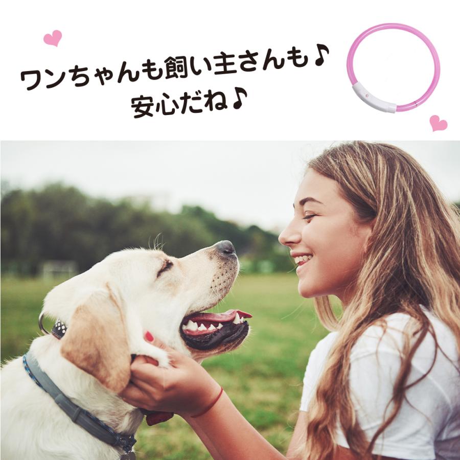 Lino Ulu（リノウル） 犬 首輪 光る カラー ペット 猫 LED ライト 小型