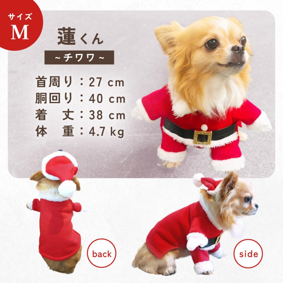 犬服  ラグラン(Ｌ)   ꒡̈⃝Lily꒡̈⃝ハンドメイド   クリスマスカラー 犬服 ラグラン(L) ꒡̈⃝Lily꒡̈⃝ハンドメイド クリスマスカラー