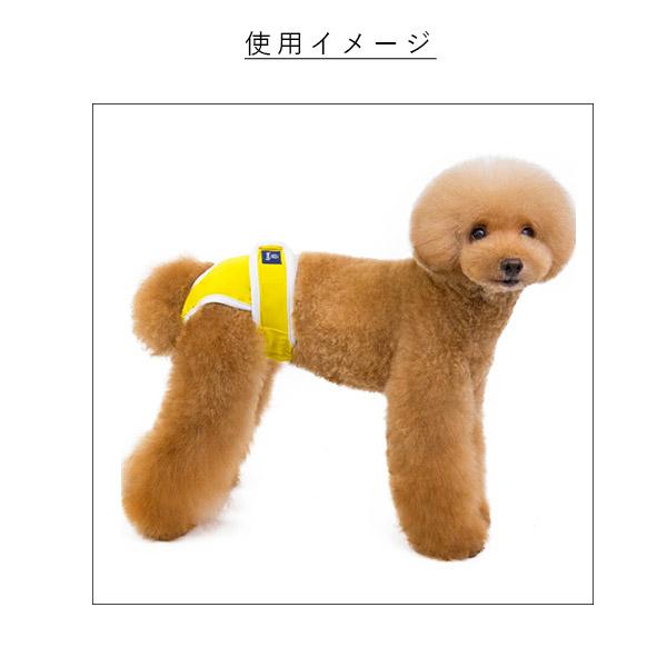 即納 犬用 サニタリーパンツ 伸縮性ウエスト ウエストゴム ブランド