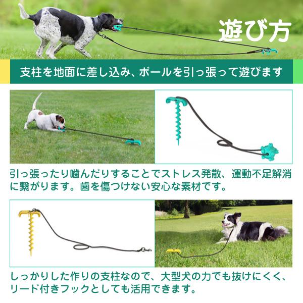 ポイント10倍 犬 おもちゃ 噛む 歯磨き 犬用おもちゃ ストレス解消 運動不足 大型犬 中型犬 小型犬 Aynaelda Com