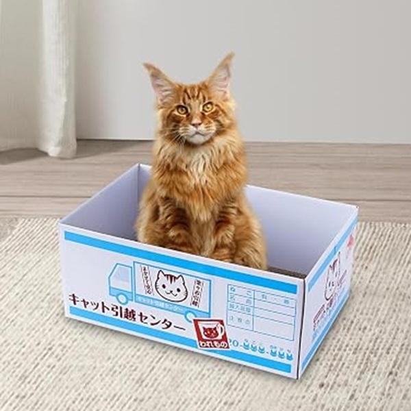 即納 猫用 爪とぎ ダンボールハウス 猫ハウス 爪研ぎ 爪磨き 爪とぎ