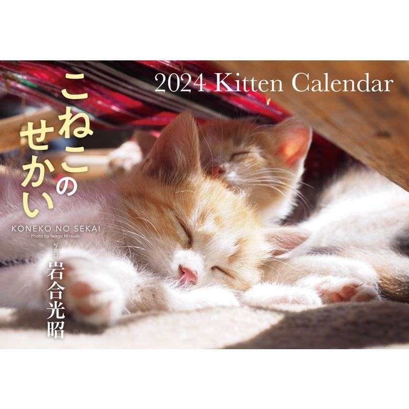 s17-2024-kitten-calendar-20230916085322-00203-yahoo