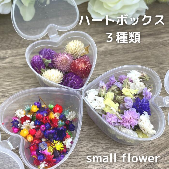 ドライフラワー ト送料込 花材 ドライフラワー 小花 PO1yqzqkKO ドライフラワー スタッフおまかせ♪ スターフラワー12ケース 小花 プリザーブドフラワー 花材 flower 福袋 春