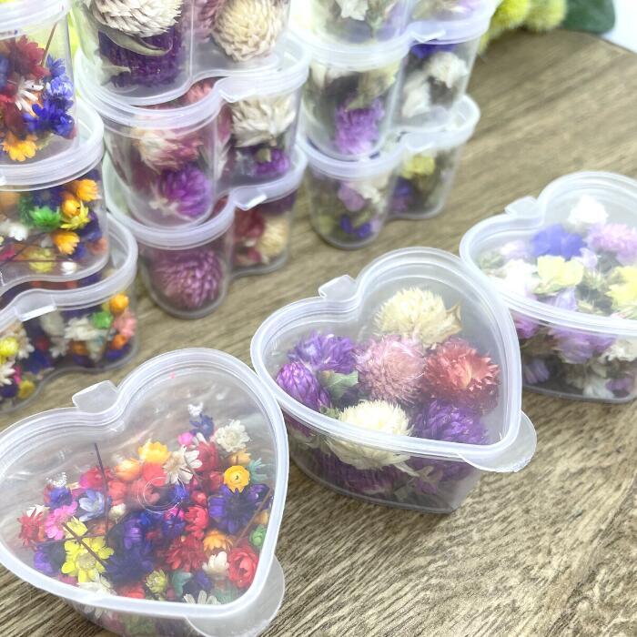 ドライフラワー レジン 花材 小花 ハーバリウム 千日紅 スターフラワー