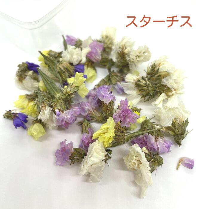 ドライフラワー レジン 花材 小花 ハーバリウム 千日紅 スターフラワー  