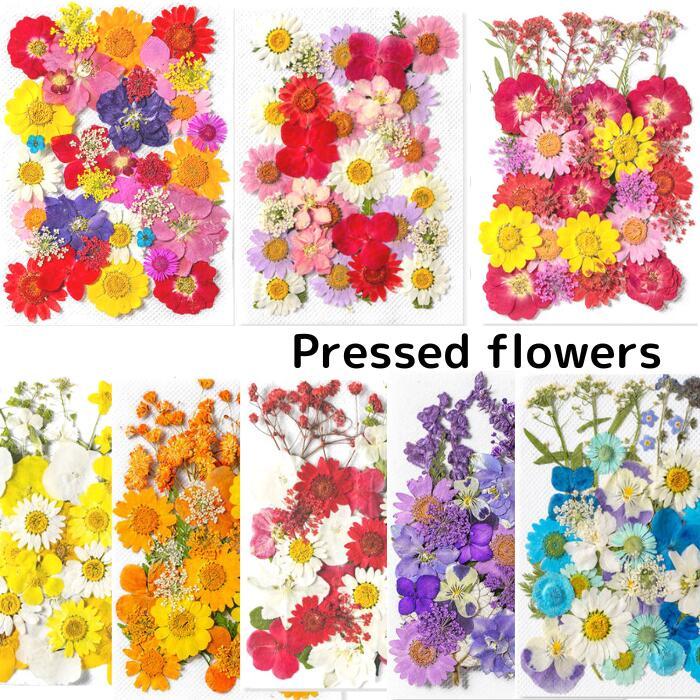 ドライフラワー 花材 詰合わせ レジン ハーバリウム 押し花 プレスド