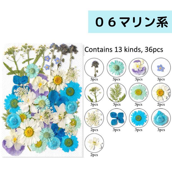 ドライフラワー 花材 詰合わせ レジン ハーバリウム 押し花 プレスド