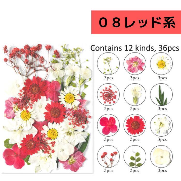 ドライフラワー 花材 詰合わせ レジン ハーバリウム 押し花 プレスド