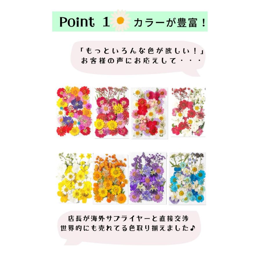 ドライフラワー 花材 詰合わせ レジン ハーバリウム 押し花 プレスド