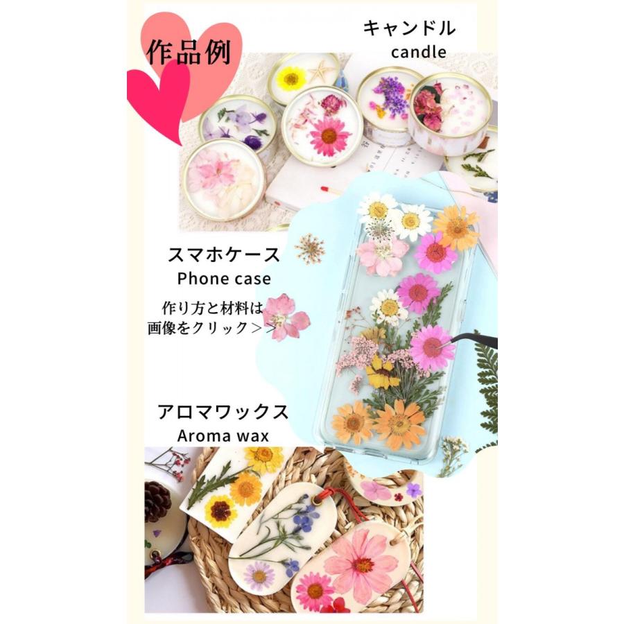 ドライフラワー 花材 詰合わせ レジン ハーバリウム 押し花 プレスド