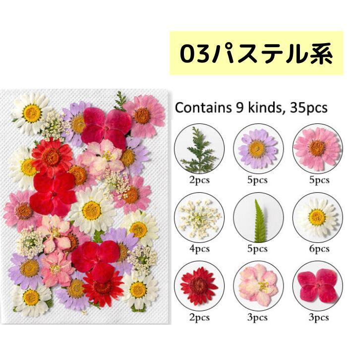 ドライフラワー 花材 詰合わせ レジン ハーバリウム 押し花 プレスド
