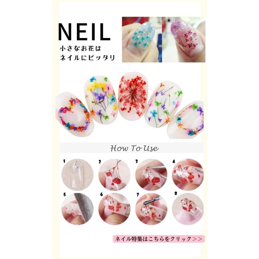 ドライフラワー 花材 詰合わせ レジン ハーバリウム 押し花 プレスド